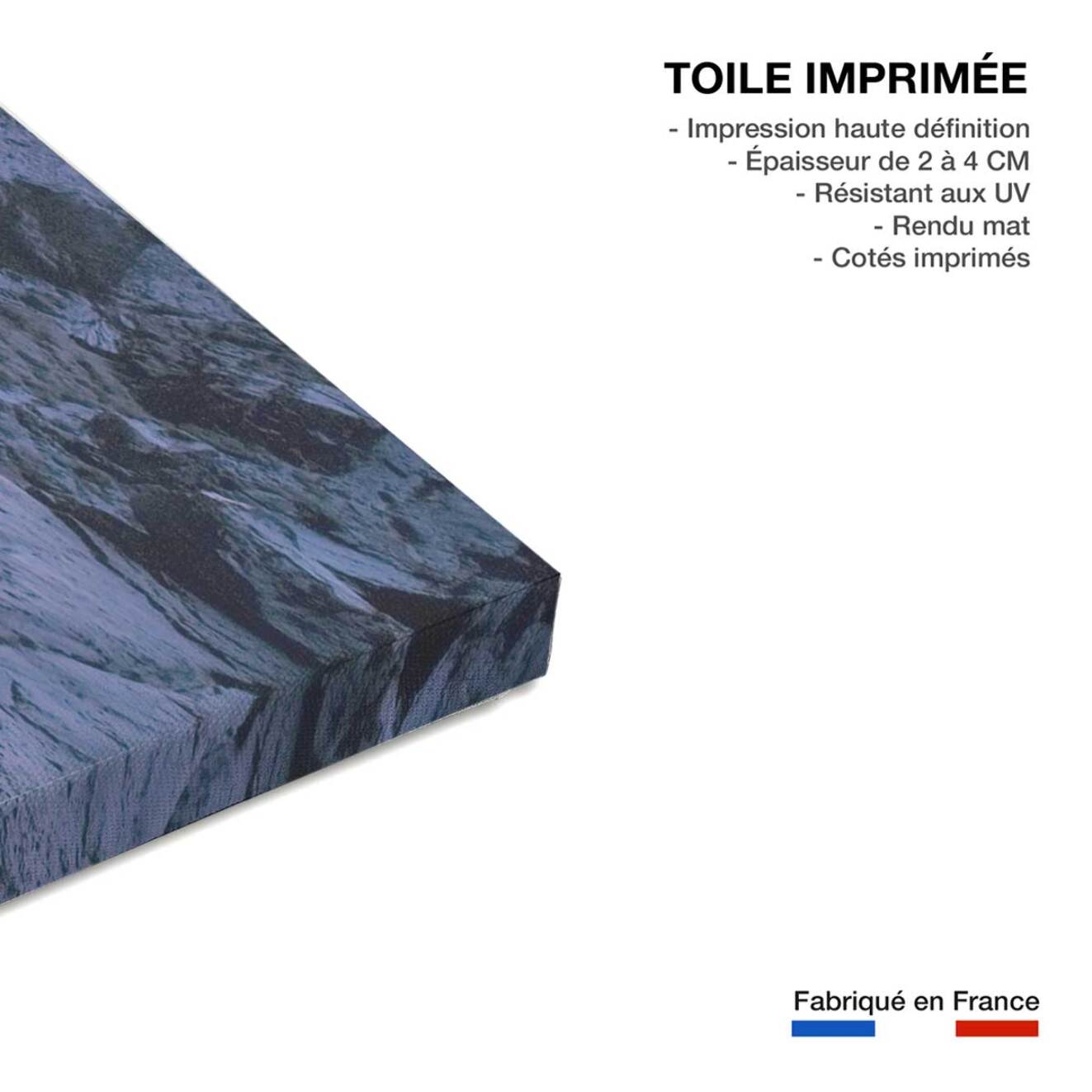 Tableau paysage d'hiver crepuscule sur glace  Toile imprimée