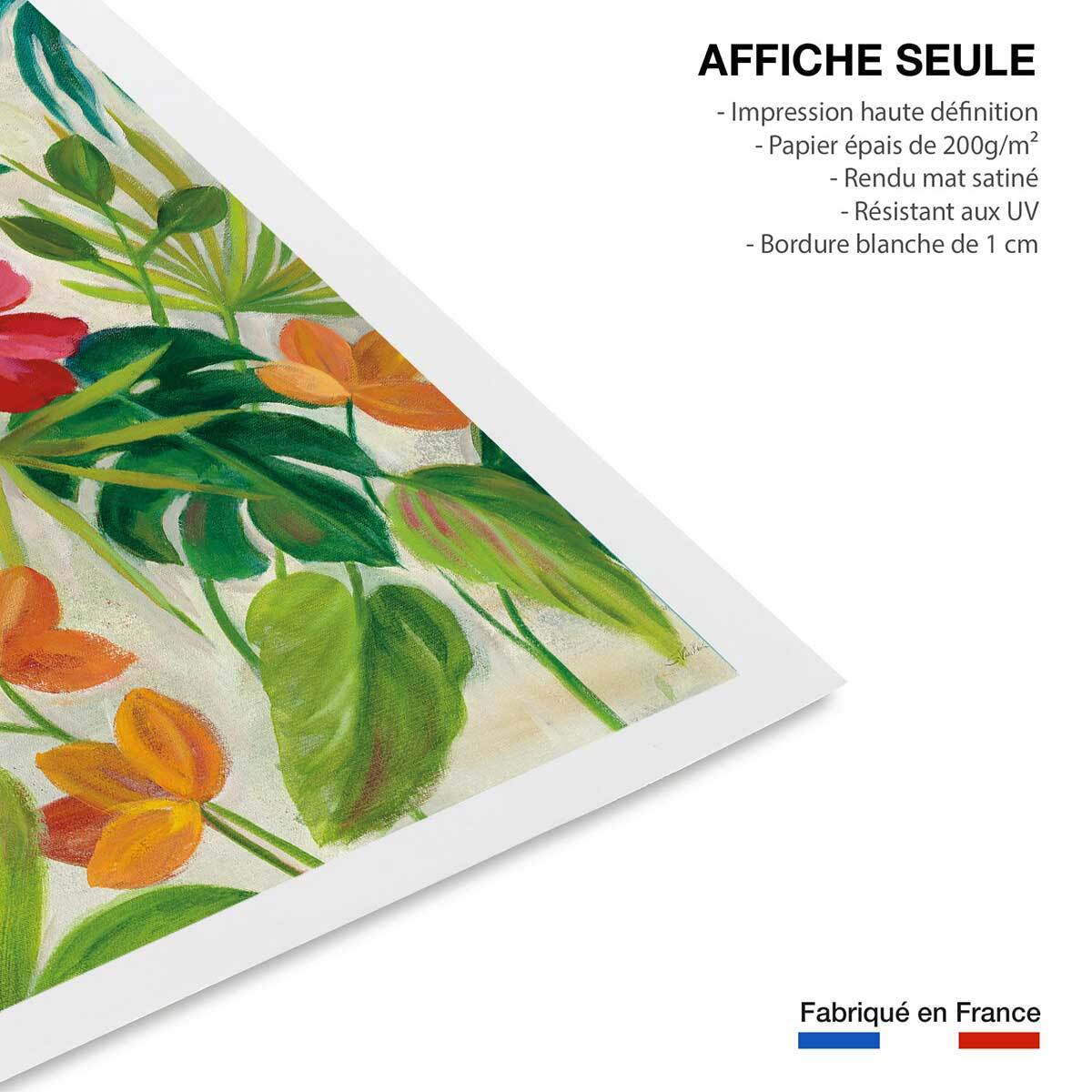 Poster Jardin tropical Affiche seule