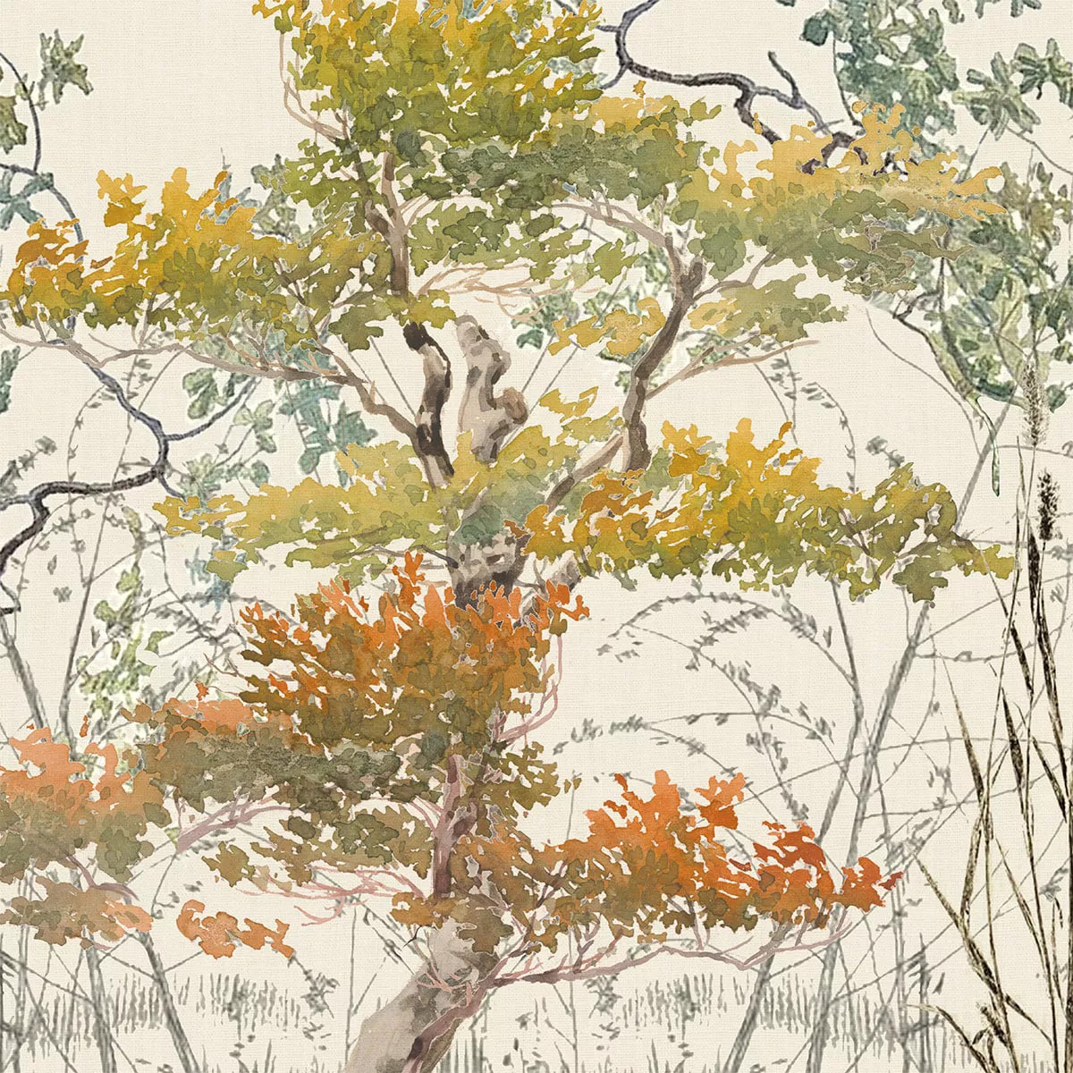 Serviette lin & coton lavé 190 g/m² imprimé multicolore beige Bois de mystere parchemin