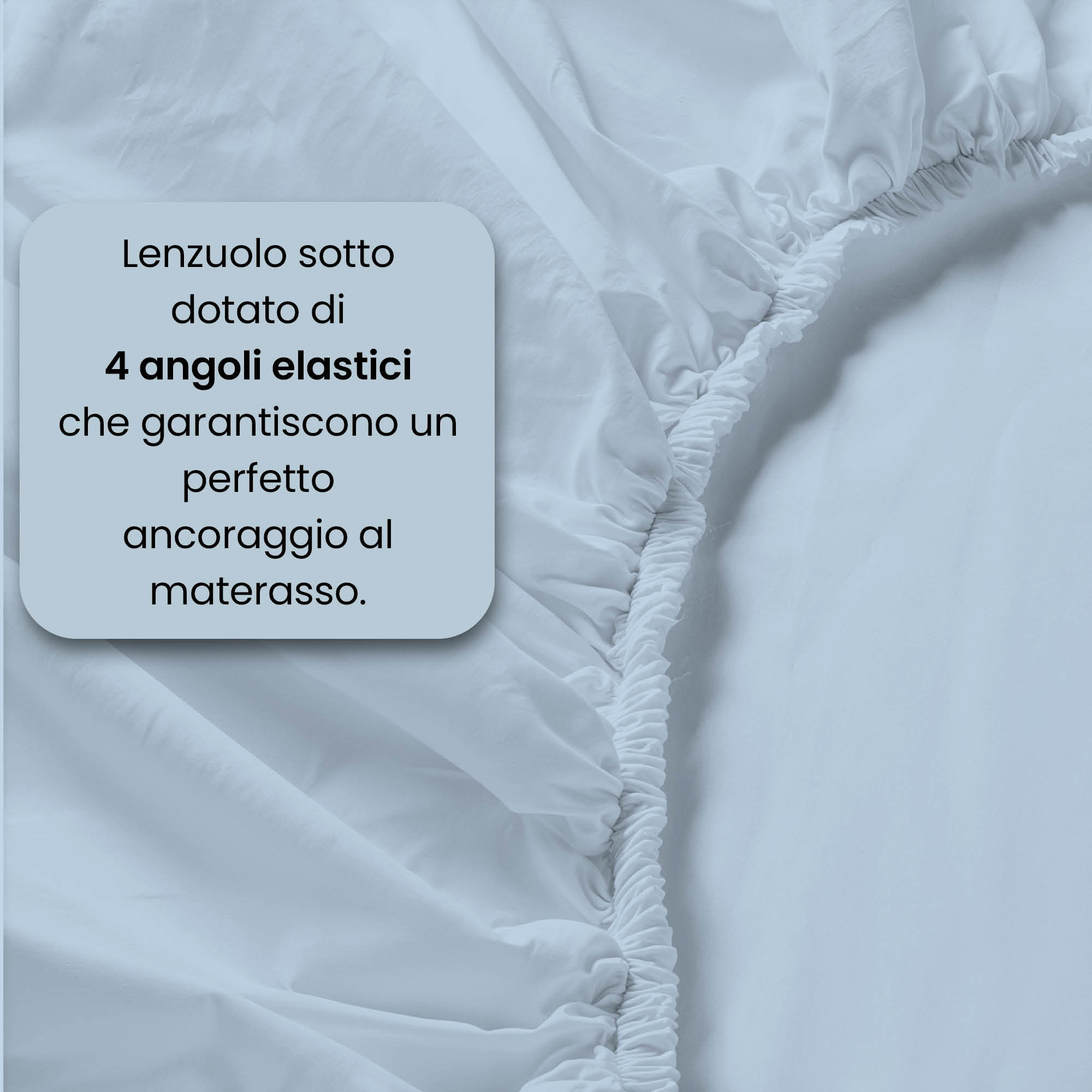 COMPLETO LETTO MAX COLOR, 100% Cotone, Made in Italy - AZZURRO