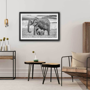 Affiche Mère éléphant Affiche + cadre en bois - Noir