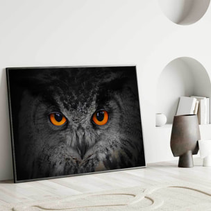 Affiche encadrée – Hibou aux yeux orange, regard hypnotique Affiche + cadre en métal - Noir