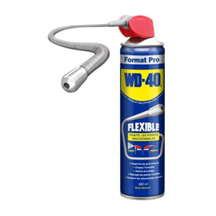 Lubrifiant et dégrippant WD40 (aérosol 600 ml) avec flexible - WD40 - 33448