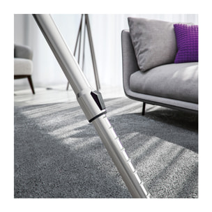 AEG Aspiradora con bolsa VX4 de 750 W y 79 dB(A) VX4-1-WR-A | Reacondicionado