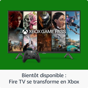 Passerelle multimédia AMAZON Fire TV Stick 4K Select