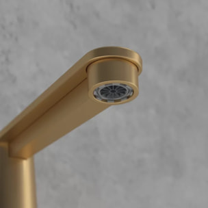 Mitigeur lavabo Conum ouverture côté avec vidage Push Open Or brossé