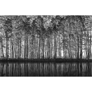 Tableau nature pointillisme Tableau plexiglas