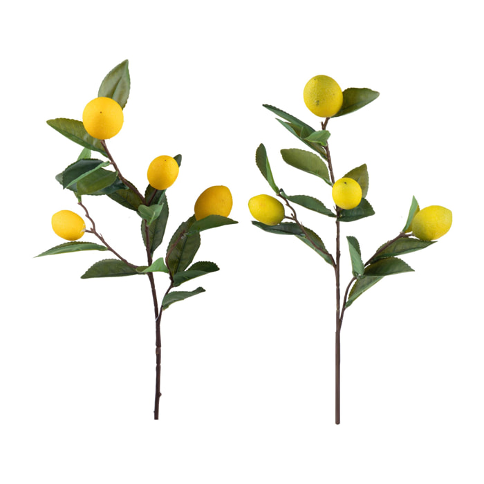 Ramo con limoni - Pezzi 2 - Colore:Assortiti - Bianchi Dino
