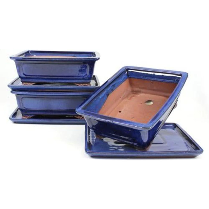 Tiesto bonsáis rectangular 25 cm con plato azul