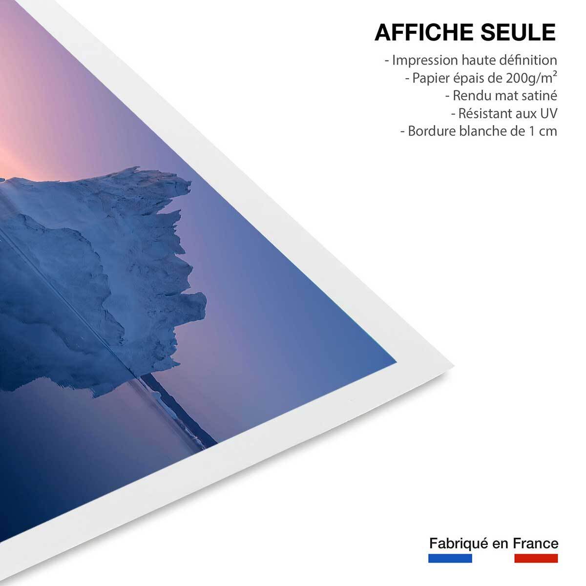 Poster iceberg disco Affiche seule