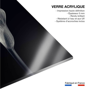 Tableau d'art calla lily  Tableau plexiglas