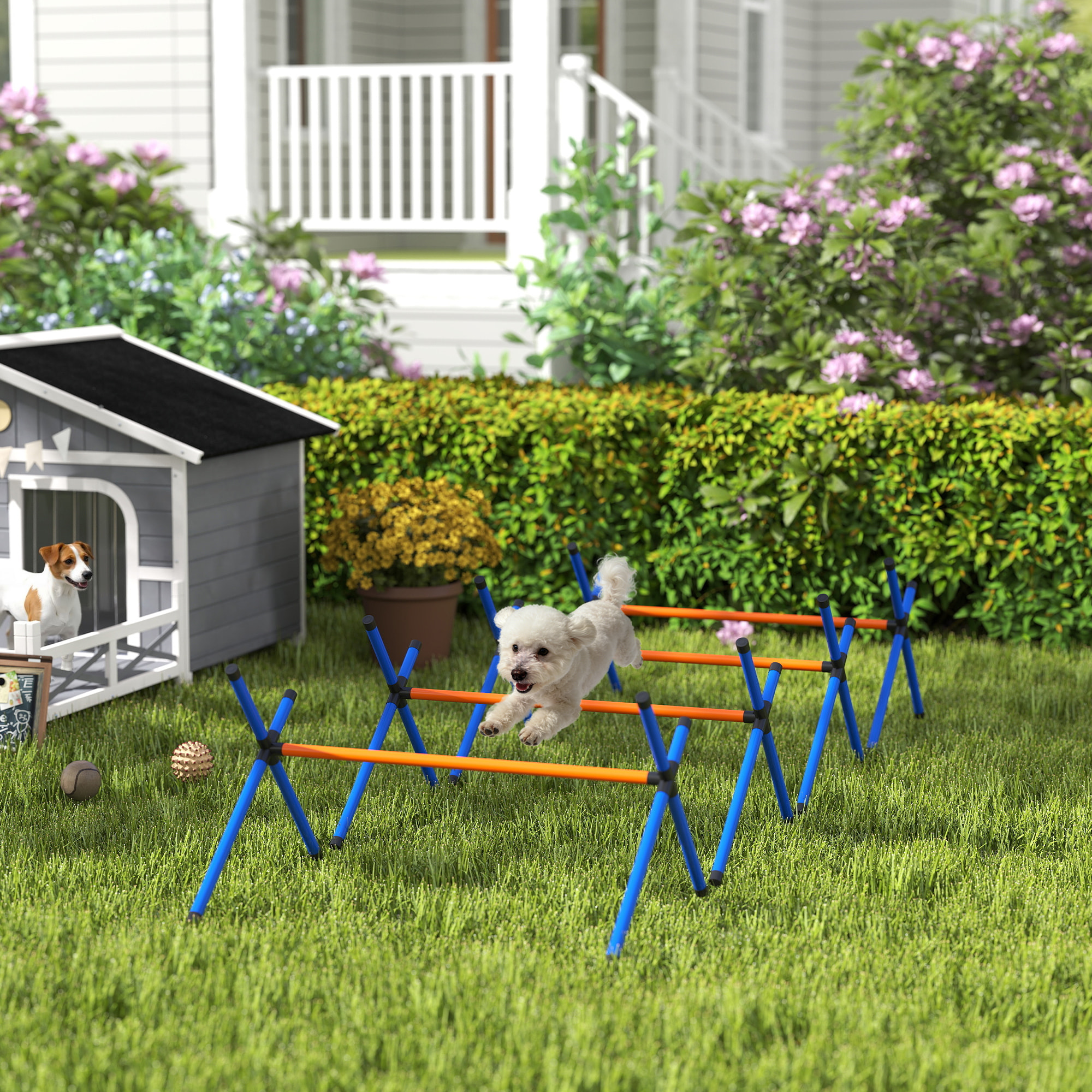 Kit d'agilité chien hauteur réglable sac transport inclus