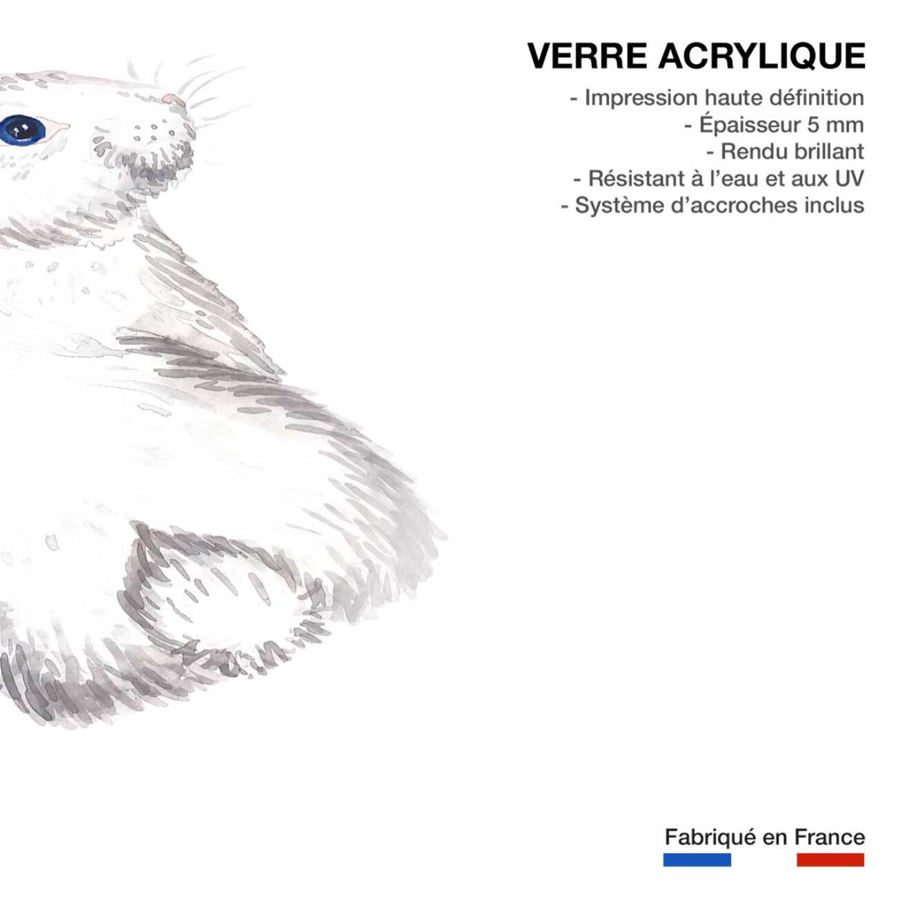 Tableau enfants pour le lapinou  Tableau plexiglas