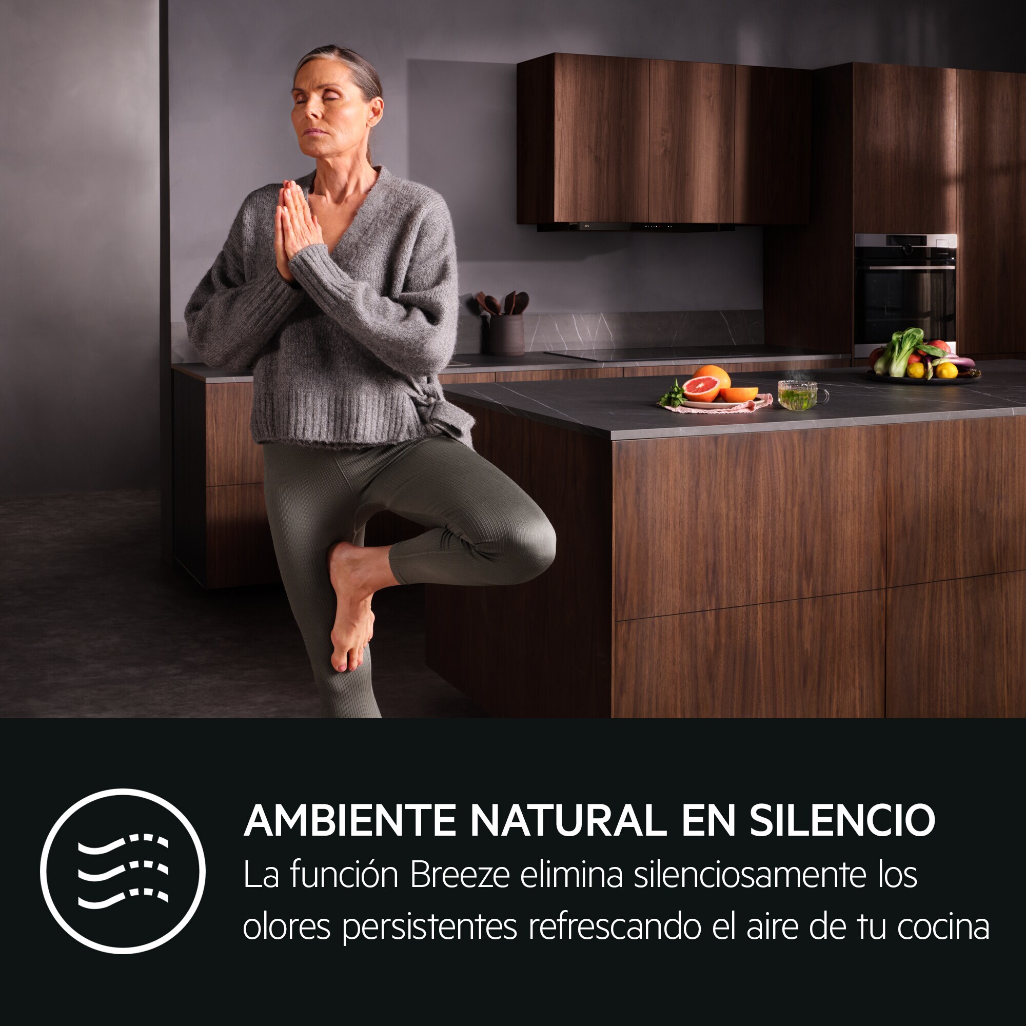 AEG Campana extractora extraíble Serie 7000 SilenceTech de 60 cm GDP866PL | Reacondicionado