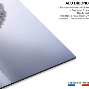 Tableau paysage Lumière d' hiver Tableau alu Dibond