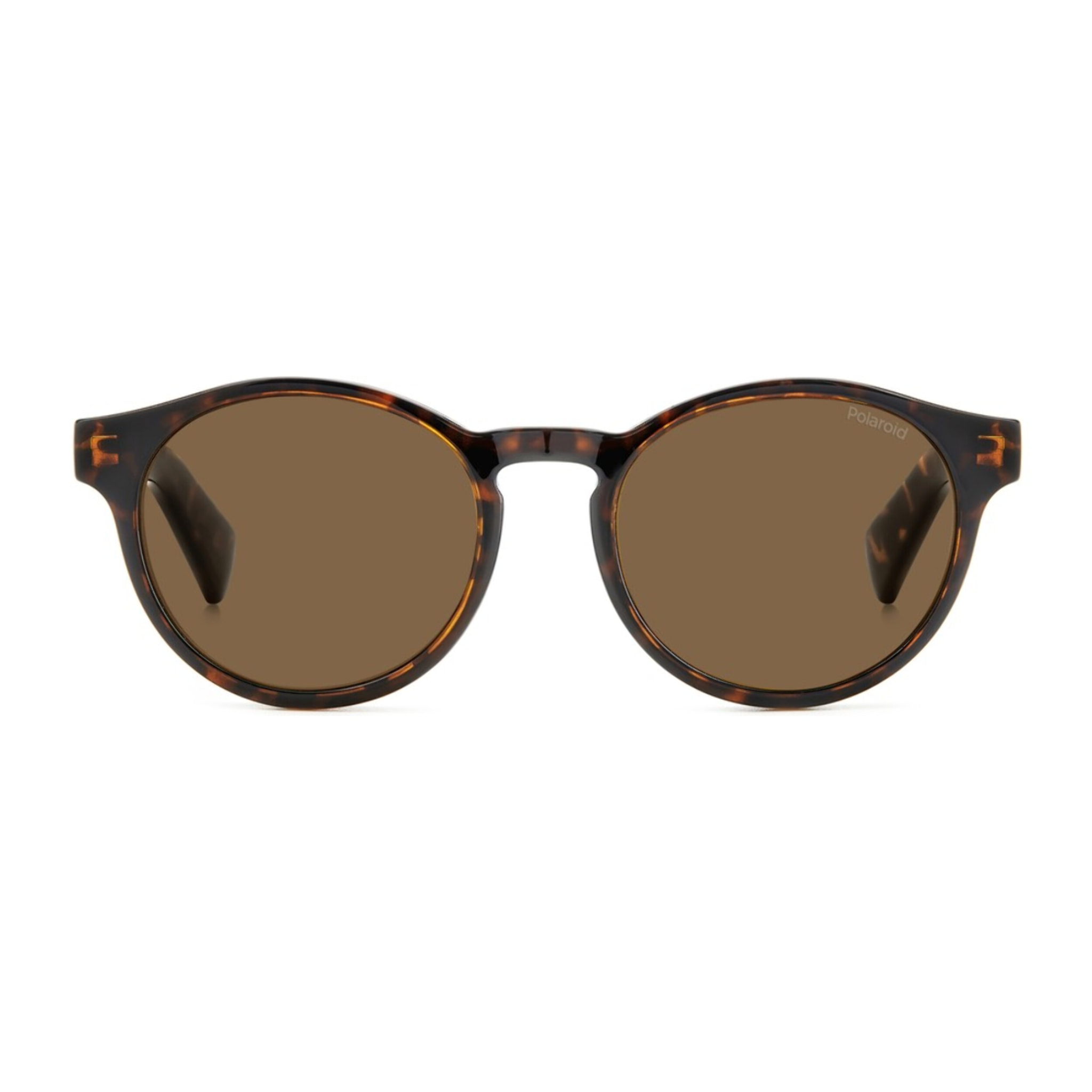 GAFAS DE VISTA PREGRADUADAS POLARIZADAS POLAROID PLD 0031/R/C 086 50