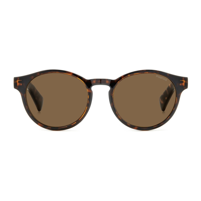 GAFAS DE VISTA PREGRADUADAS POLARIZADAS POLAROID PLD 0031/R/C 086 50