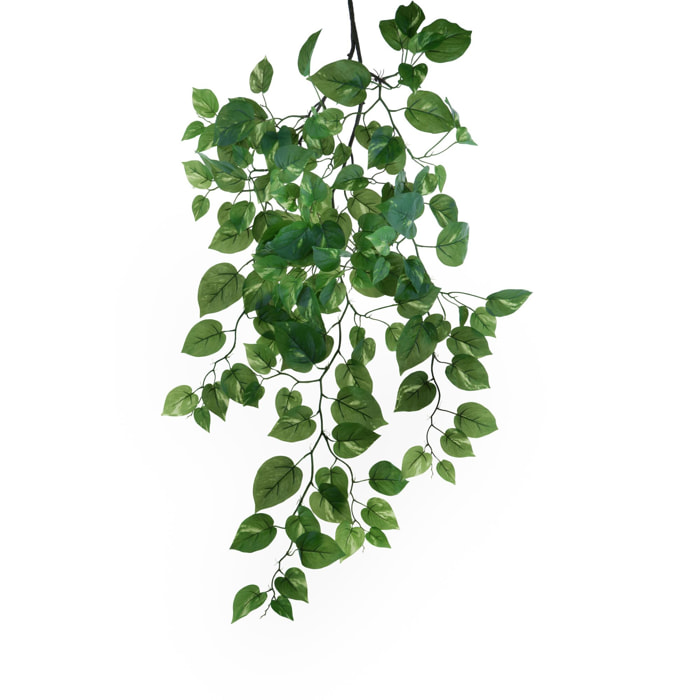 Pianta Di Pothos Rampicante. Altezza 107 Cm - Pezzi 1 - 38X107X10cm - Colore: Verde - Bianchi Dino - Piante Artificiali