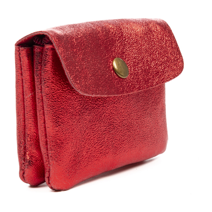 Alpignano monedero mujer. Piel auténtica Gamuza lacada brillante.