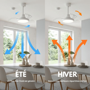 Ventilateur Plafond LED BRYSEA D63CM Bla