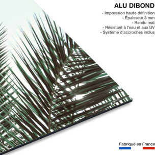 Tableau palme verte Tableau alu Dibond