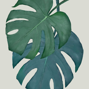 Affiche Monstera turquoise Affiche + cadre en bois - Noir