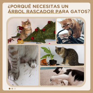 Rascador árbol para Gatos de Felpa 55x40x125cm Gris