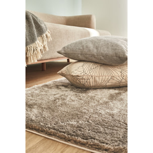 Cosy - tapis salon à poils longs tout doux, taupe