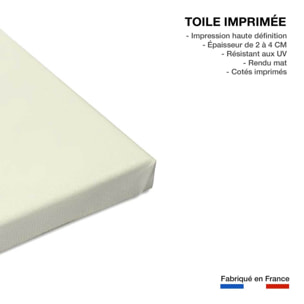 Tableau chauve souris Toile imprimée