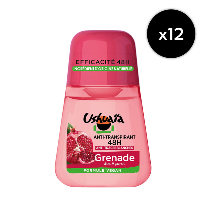 Lot de 12 - Déodorant Bille Grenade 50ml