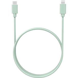 Câble Lightning ESSENTIELB USB-C vers lightning 1M Amande