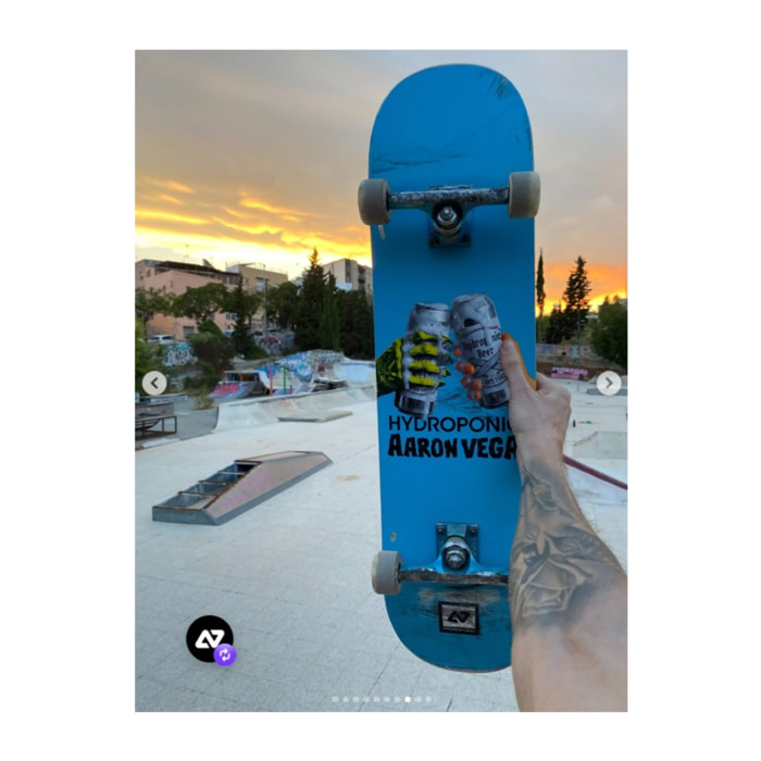Tabla de skate Hydroponic PRO-MODELS ARRON VEGA