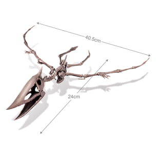 Scava e crea lo scheletro di un Pteranodonte