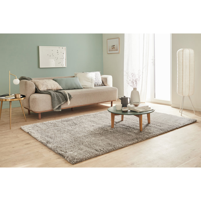 Cosy - tapis salon à poils longs tout doux, gris