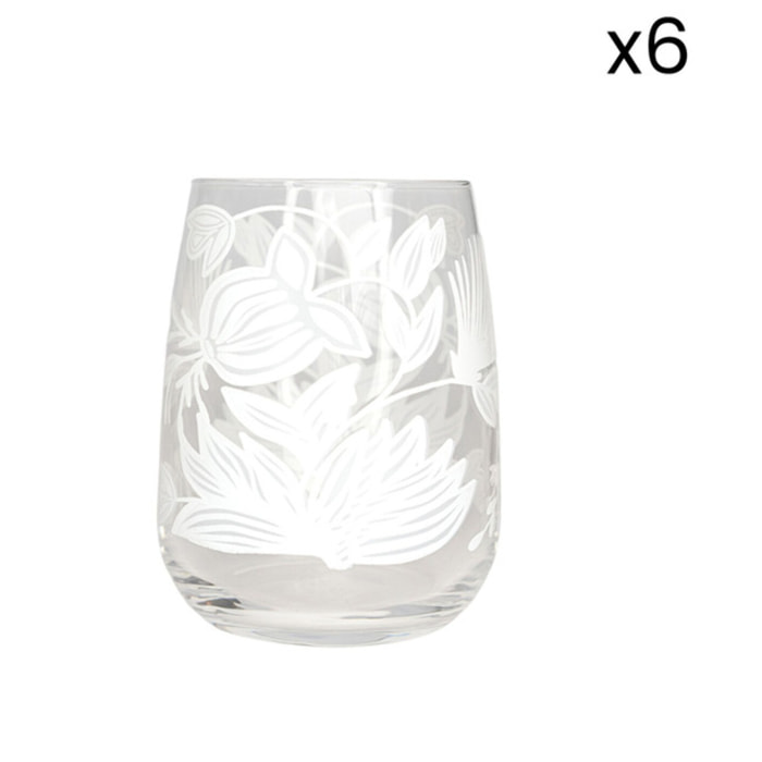 Set 6 bicchieri da acqua Lysis