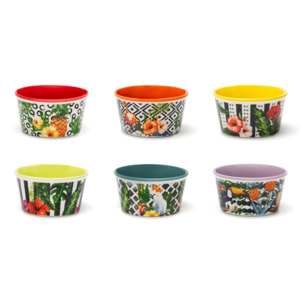 Ensemble de 6 bols 8,7 cm Excelsa – Tropical Chic, New Bone China Multicolore