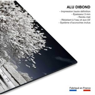 Tableau paris jardin blanc comme neige  Tableau alu Dibond