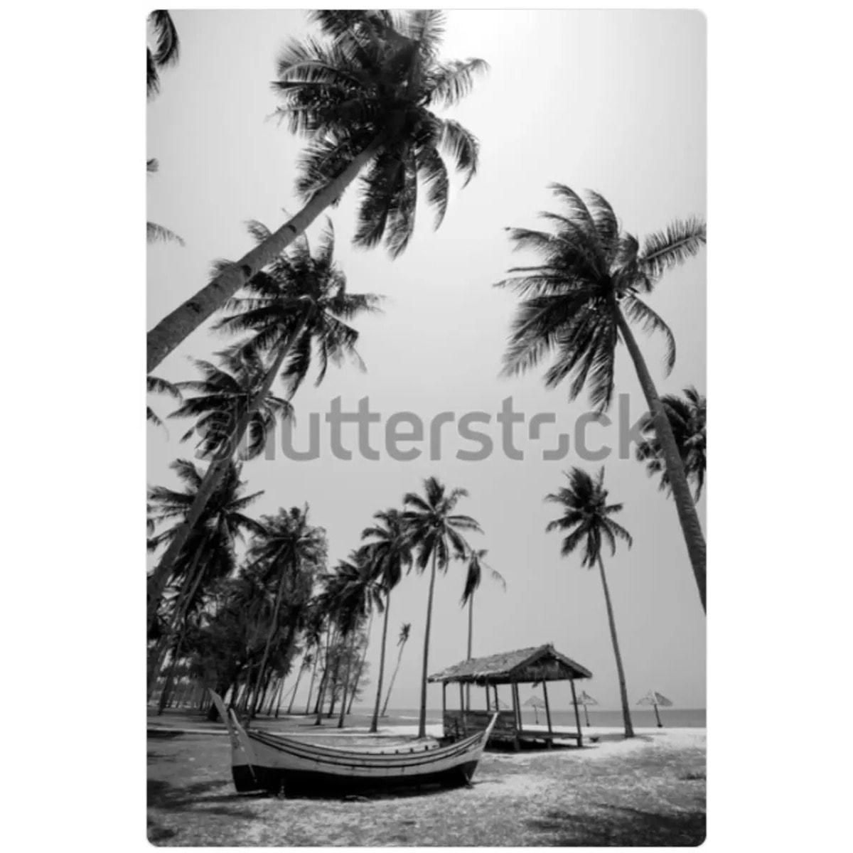 Affiche encadrée Ayu noir et blanc 70x100cm