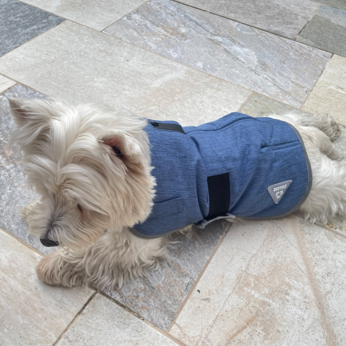 Abrigo para mascotas hearts&homies azul