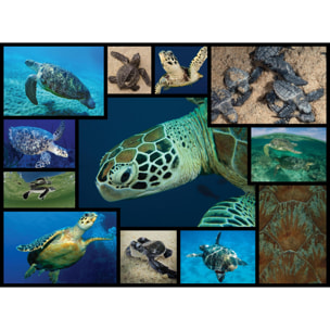 WWF PUZZLE - TORTUGAS 1000 PIEZAS