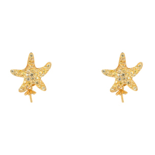 Pendientes Lancaster Mujer JLA-EAR-STAR-6