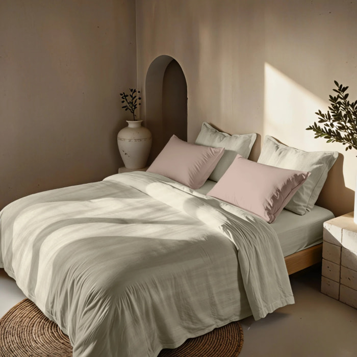 Housse de couette Algemesí Beige 80 fils