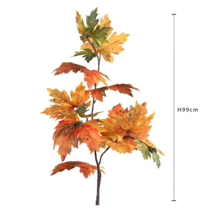 Platano - Pezzi 12 - 20xH99x20cm - Bianchi Dino SpA