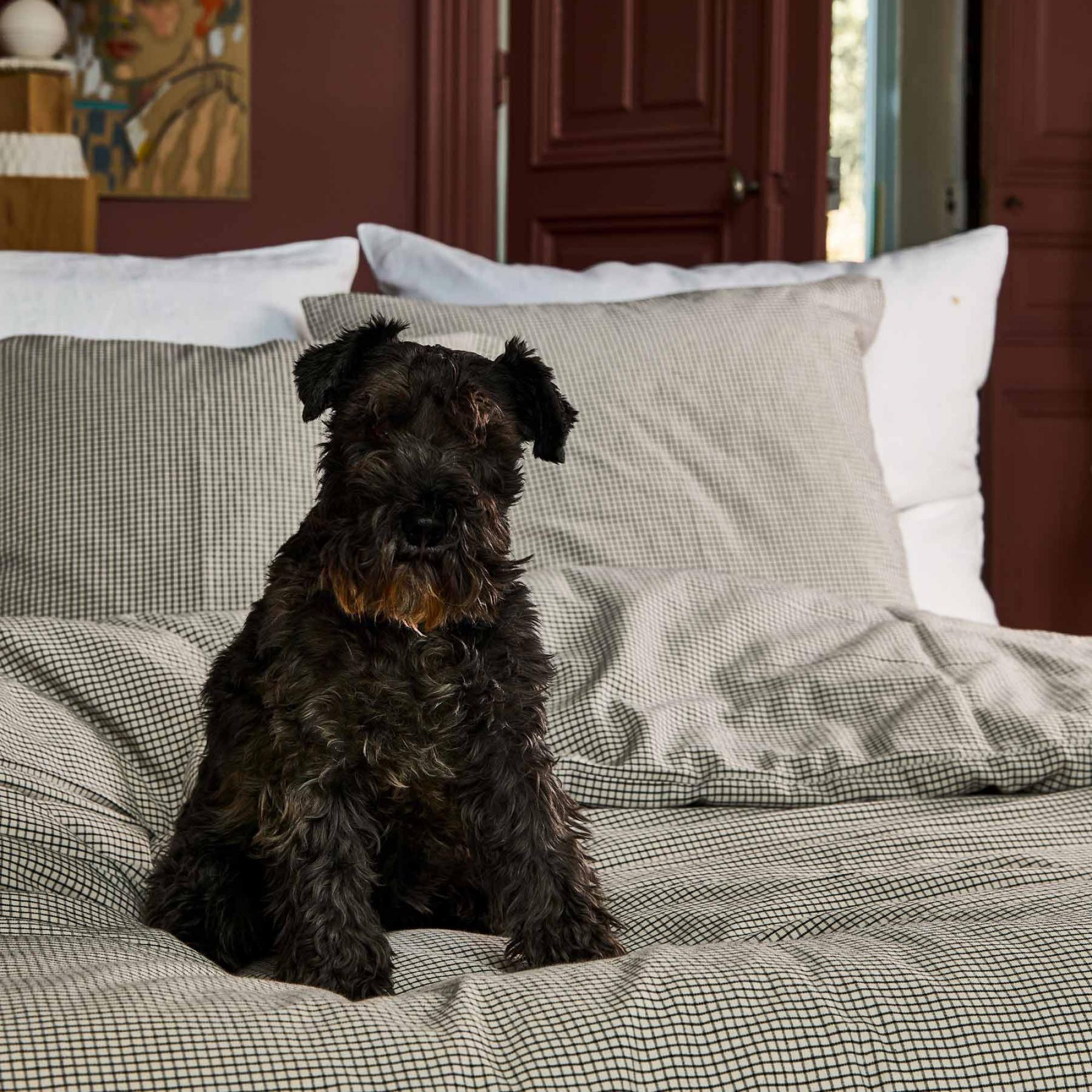 Housse de couette Gustave