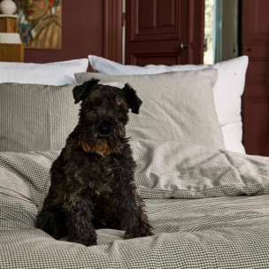 Housse de couette Gustave