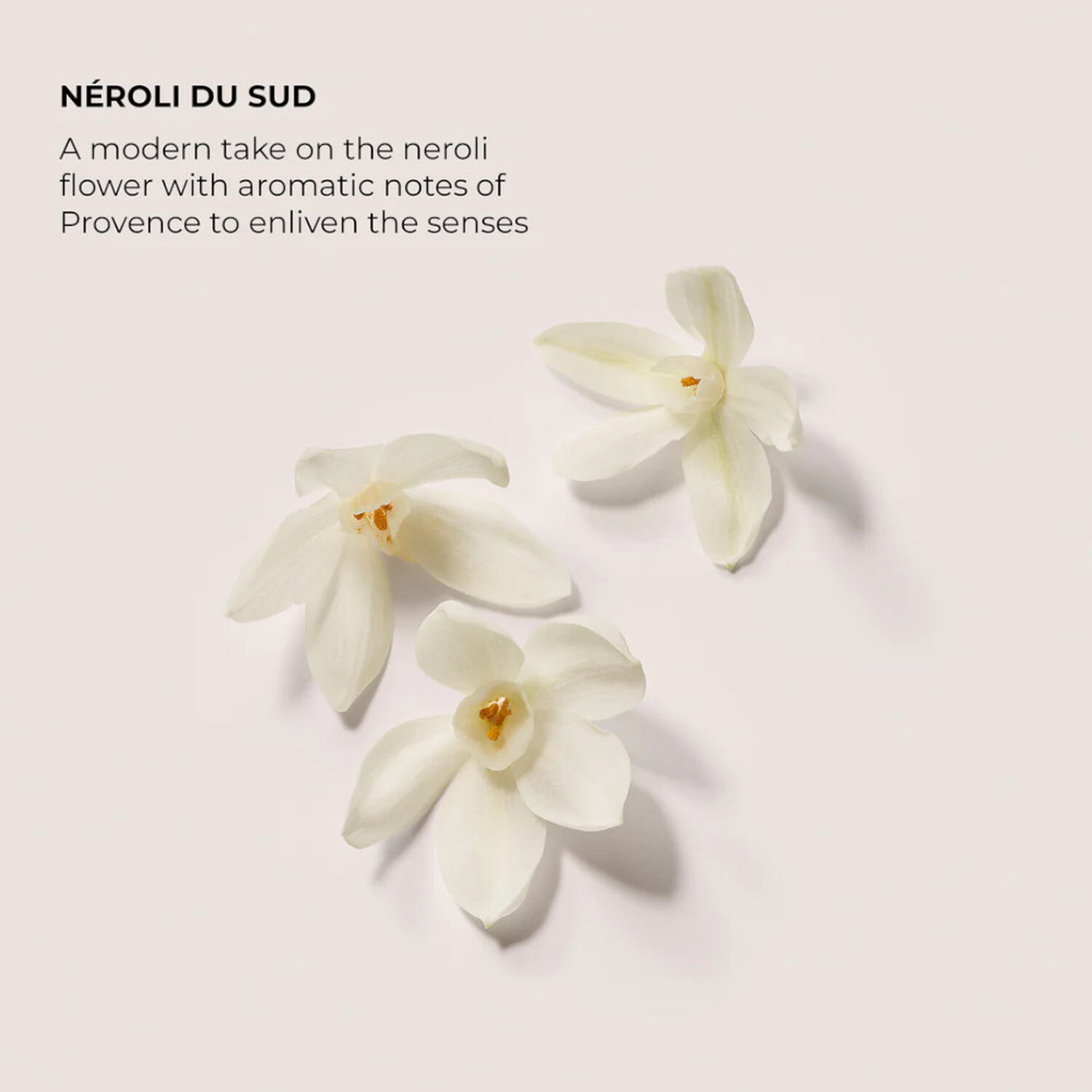 Néroli du Sud - Huile pour le Bain et le Corps 100 ml