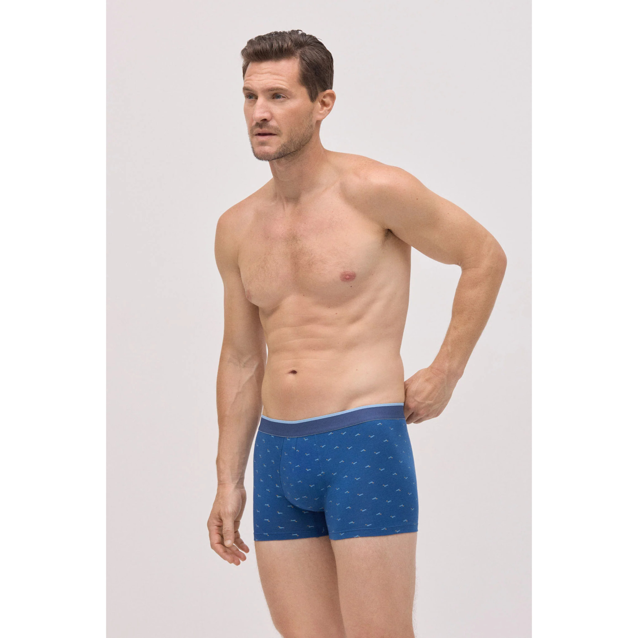 Confezione di boxer e calzini stampati con bassotto