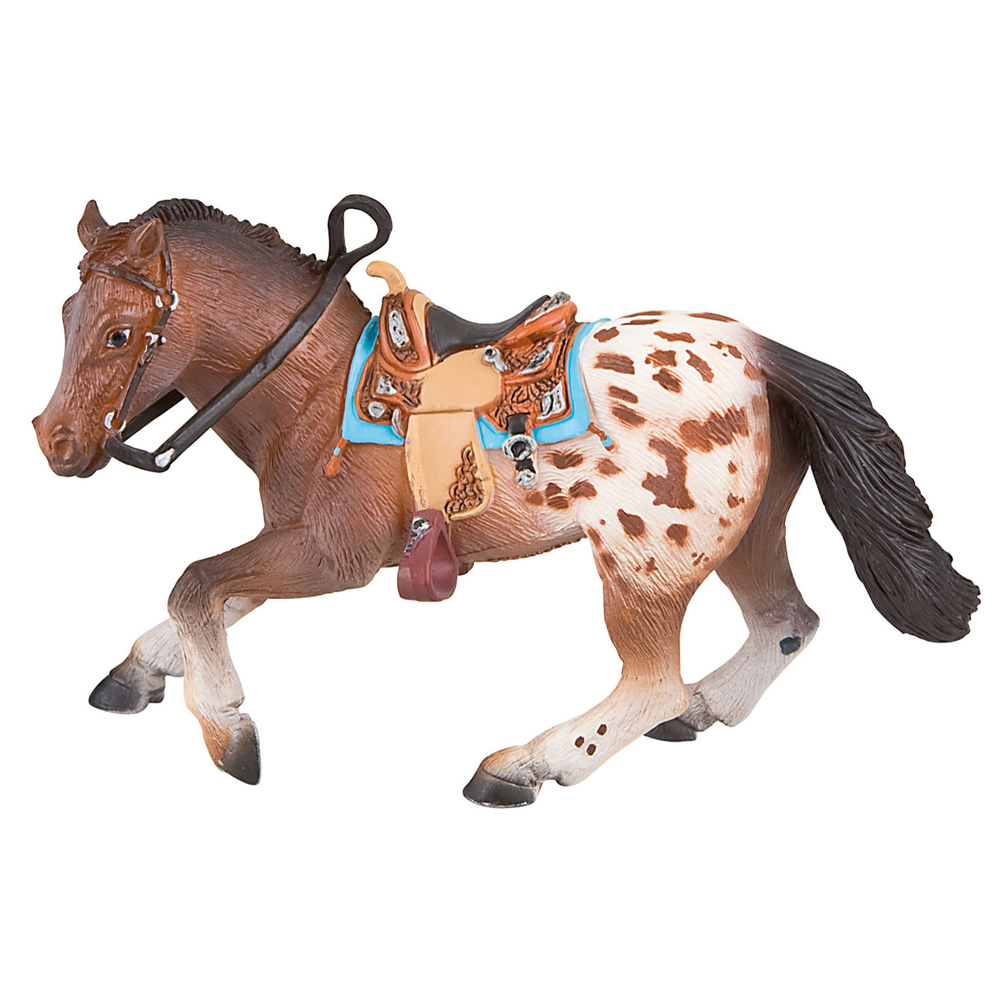 Cavalli/Appaloosa