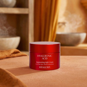 Hyaluronic Acid - Crème de Nuit Regénératrice 50 ml