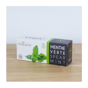 Recharge jardin d'intérieur VERITABLE Menthe Verte BIO